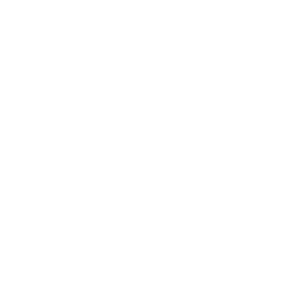 Acoperișuri Maramureș